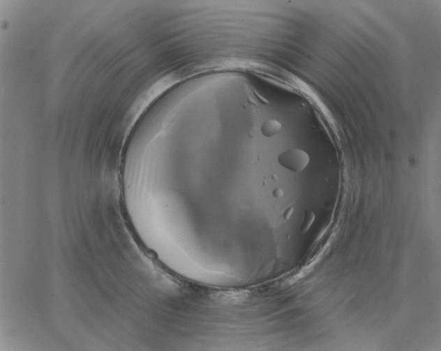 X0000067390810200604131930