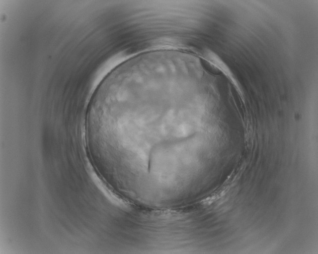 X0000067390811200604131930