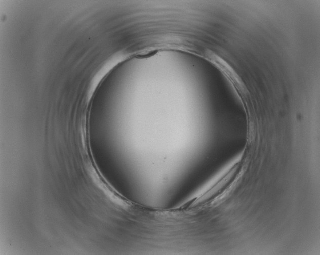 X0000067390812200604131930