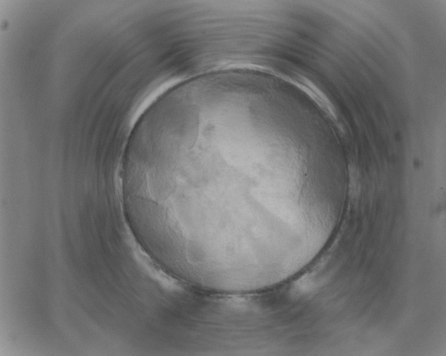 X0000067390814200604131930