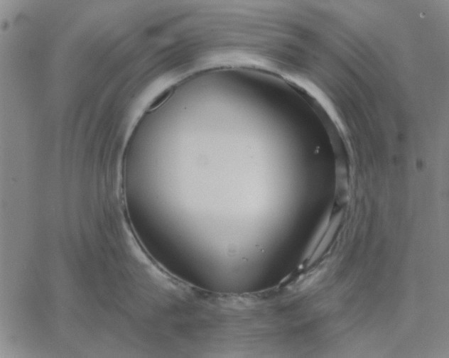 X0000067390815200604131930