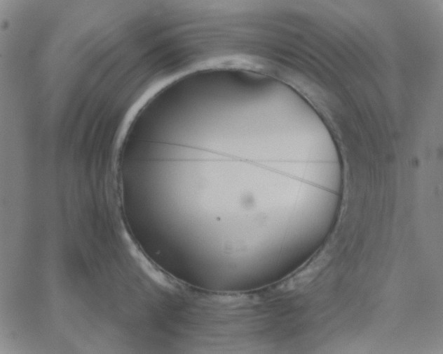 X0000067390816200604131930