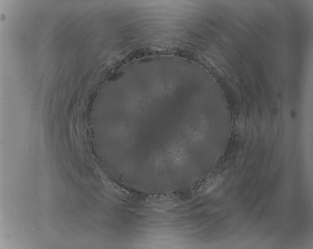 X0000067390817200604131929