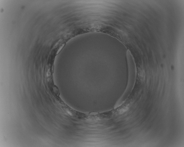 X0000067390818200604131929