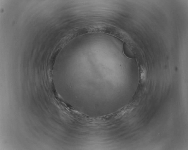 X0000067390819200604131929