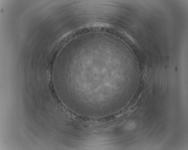 X0000067390821200604131929