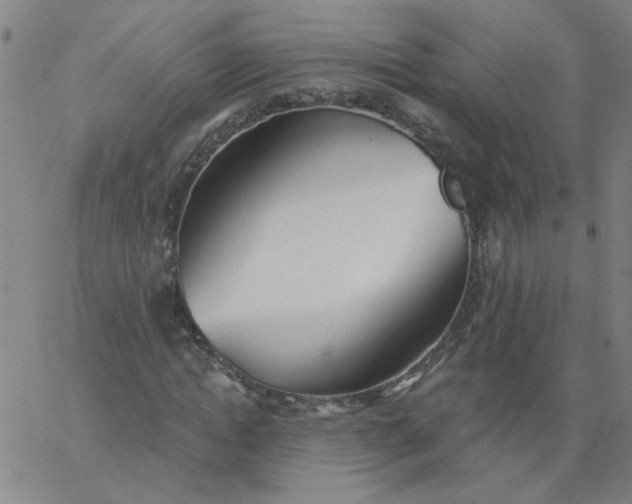 X0000067390822200604131929