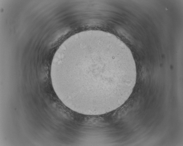 X0000067390824200604131929