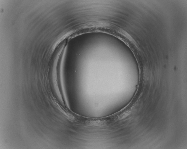 X0000067390826200604131929