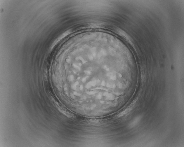 X0000067390827200604131929