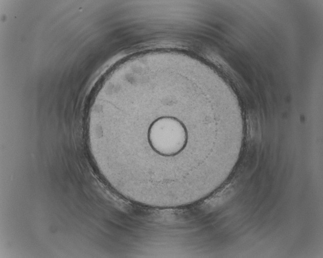 X0000067390828200604131929