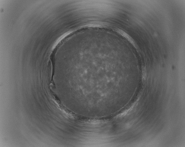 X0000067390829200604131929