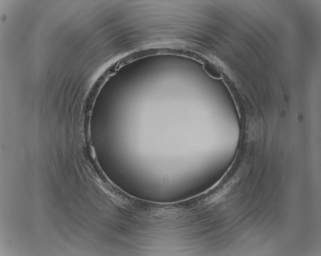 X0000067390830200604131929