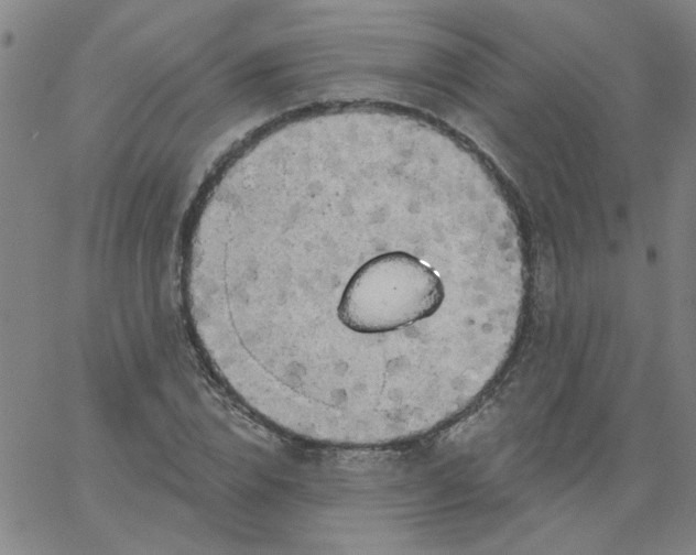 X0000067390832200604131929