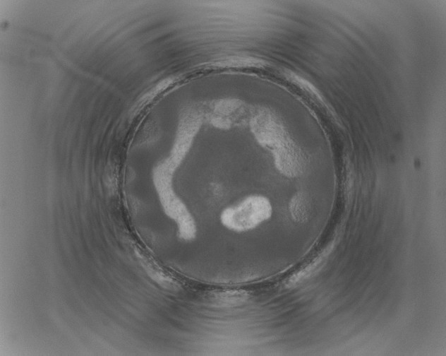 X0000067390833200604131929