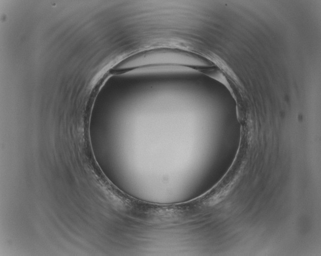 X0000067390834200604131929