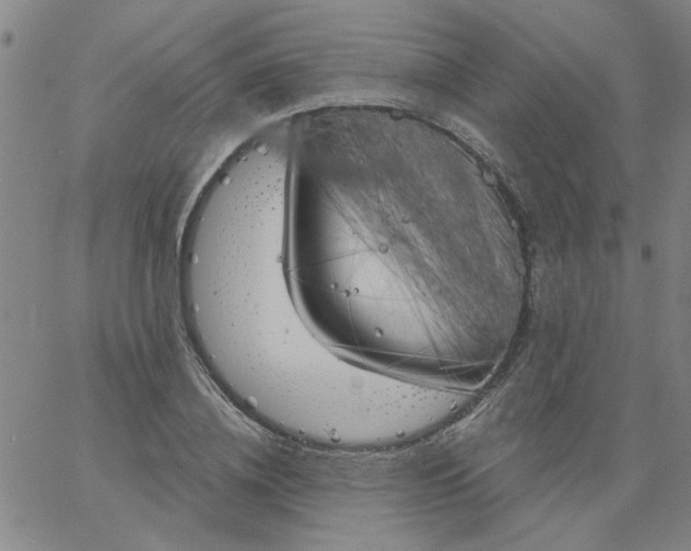 X0000067390836200604131929