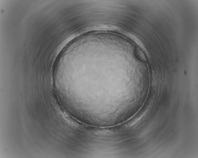 X0000067390837200604131929