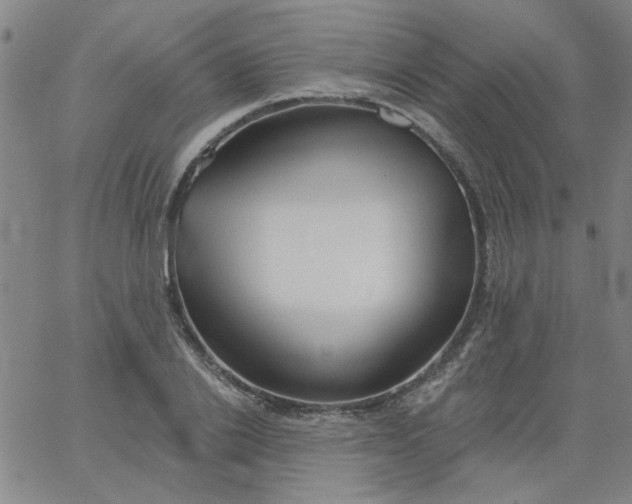 X0000067390838200604131929