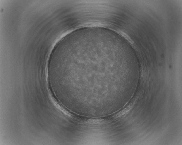 X0000067390840200604131930