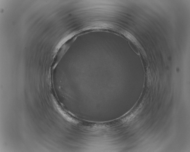 X0000067390842200604131930