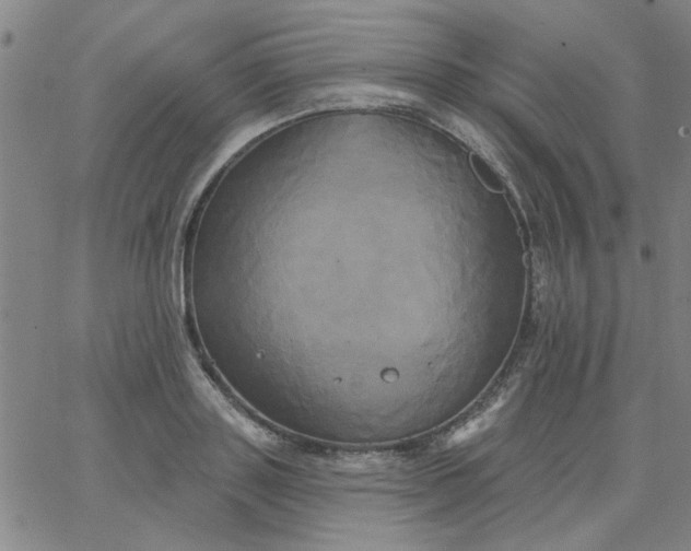 X0000067390843200604131930