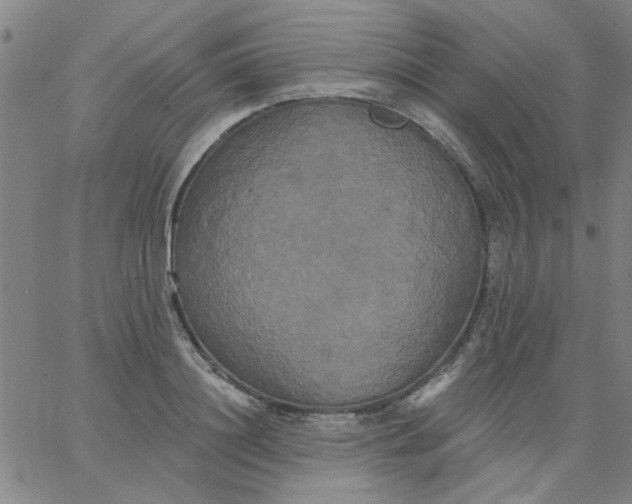 X0000067390844200604131930