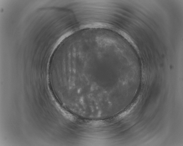 X0000067390845200604131930