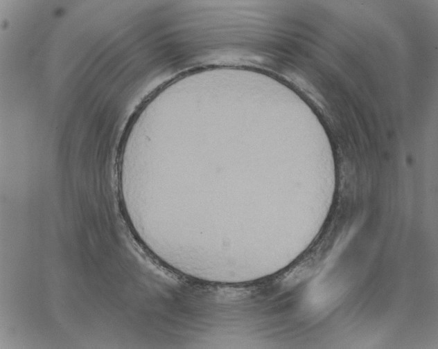 X0000067390848200604131930