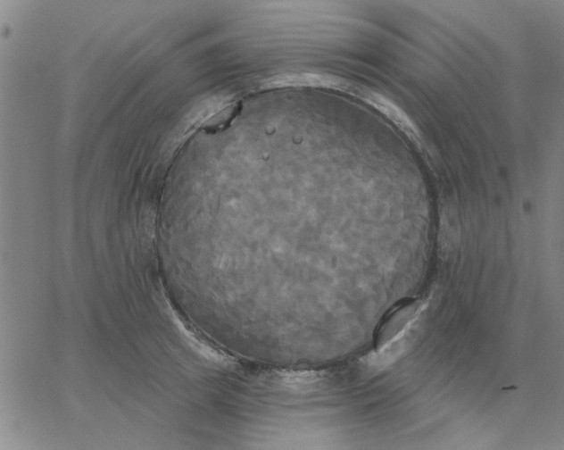 X0000067390849200604131930