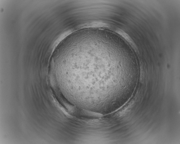 X0000067390850200604131930