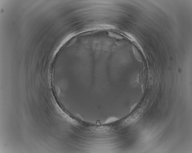 X0000067390851200604131930