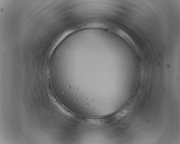 X0000067390852200604131930