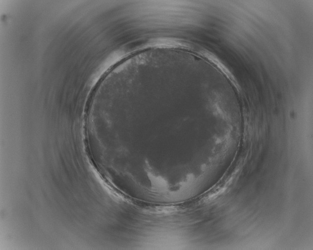 X0000067390853200604131930