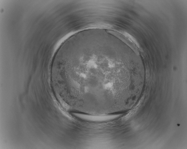 X0000067390854200604131930