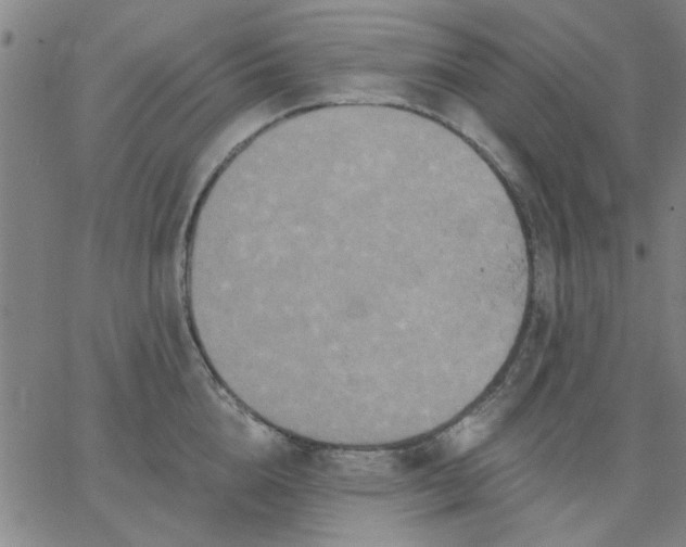 X0000067390856200604131930