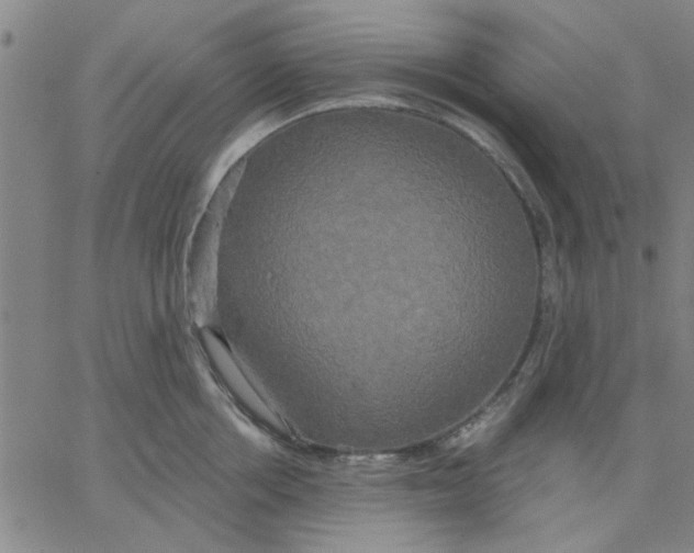 X0000067390858200604131930