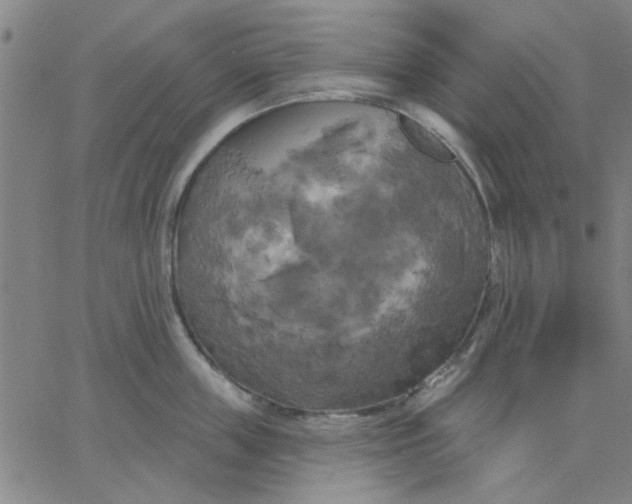 X0000067390859200604131930