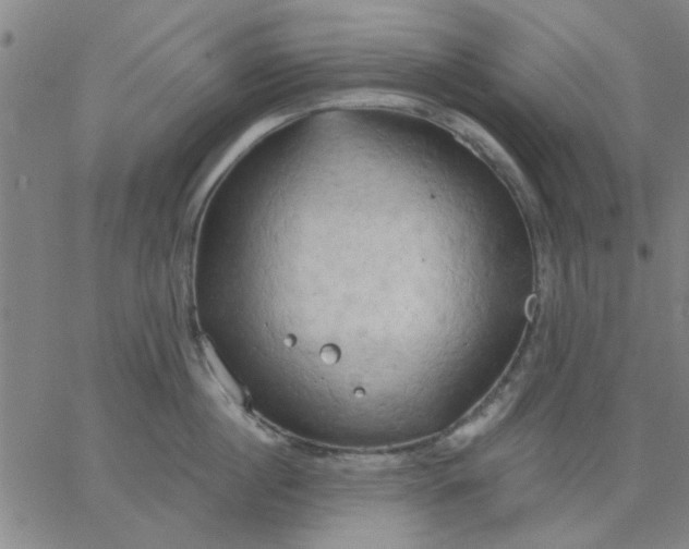 X0000067390860200604131930