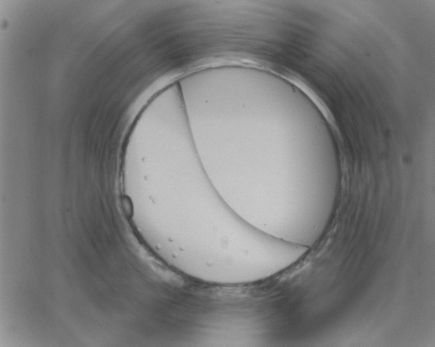 X0000067390861200604131930