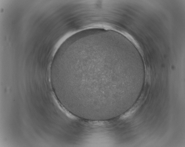 X0000067390862200604131930