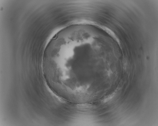 X0000067390863200604131930