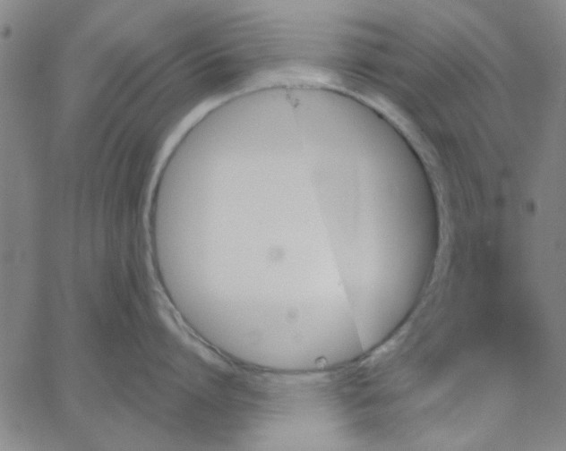 X0000067390864200604131930