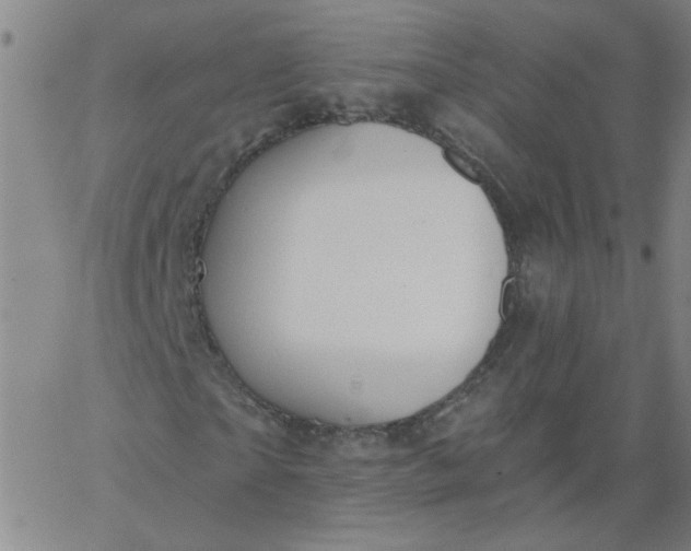 X0000067390865200604131929