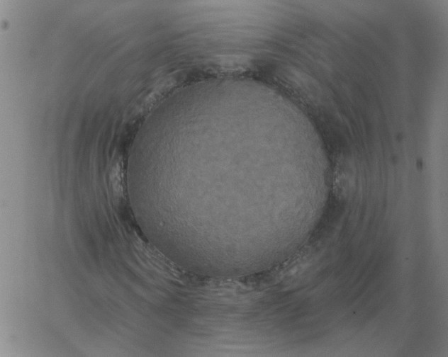 X0000067390866200604131929