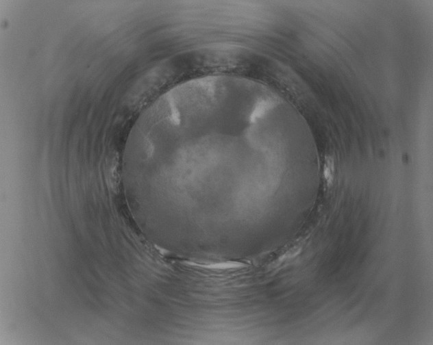 X0000067390867200604131929