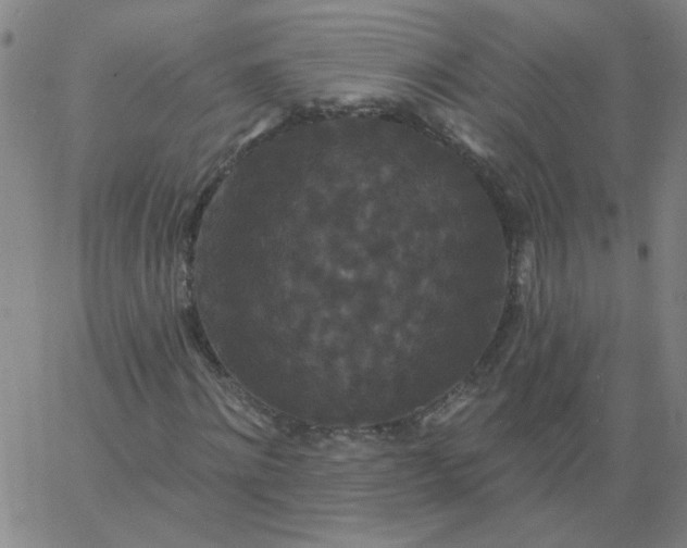 X0000067390868200604131929