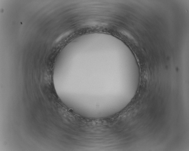 X0000067390869200604131929