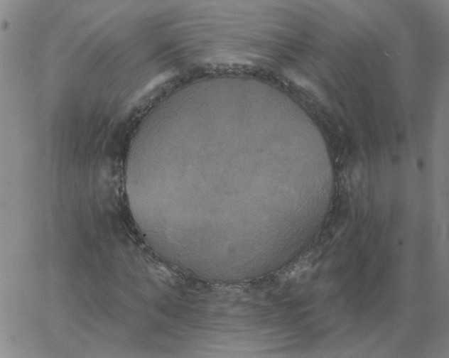 X0000067390870200604131929