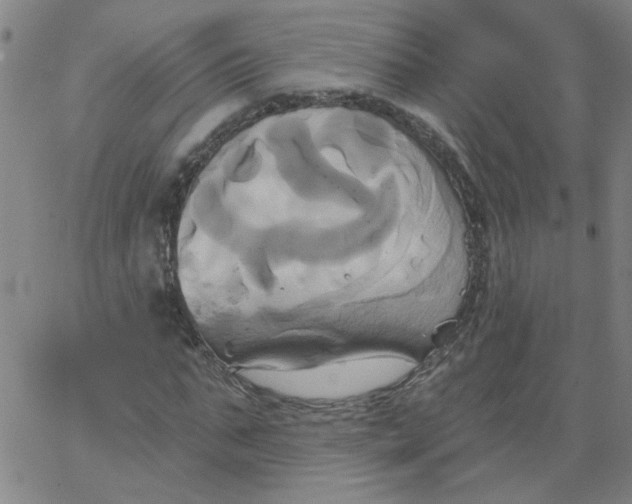 X0000067390871200604131929